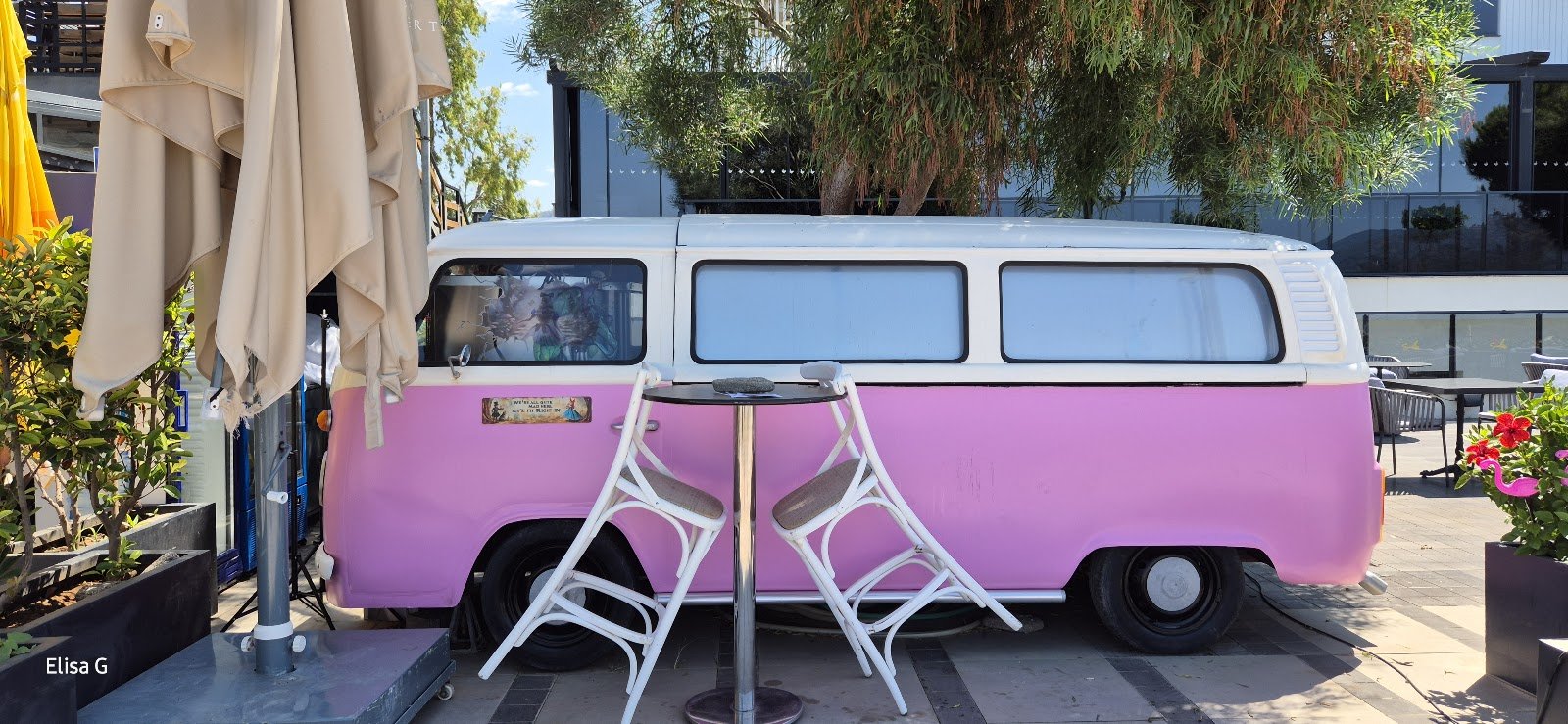 Pink Van